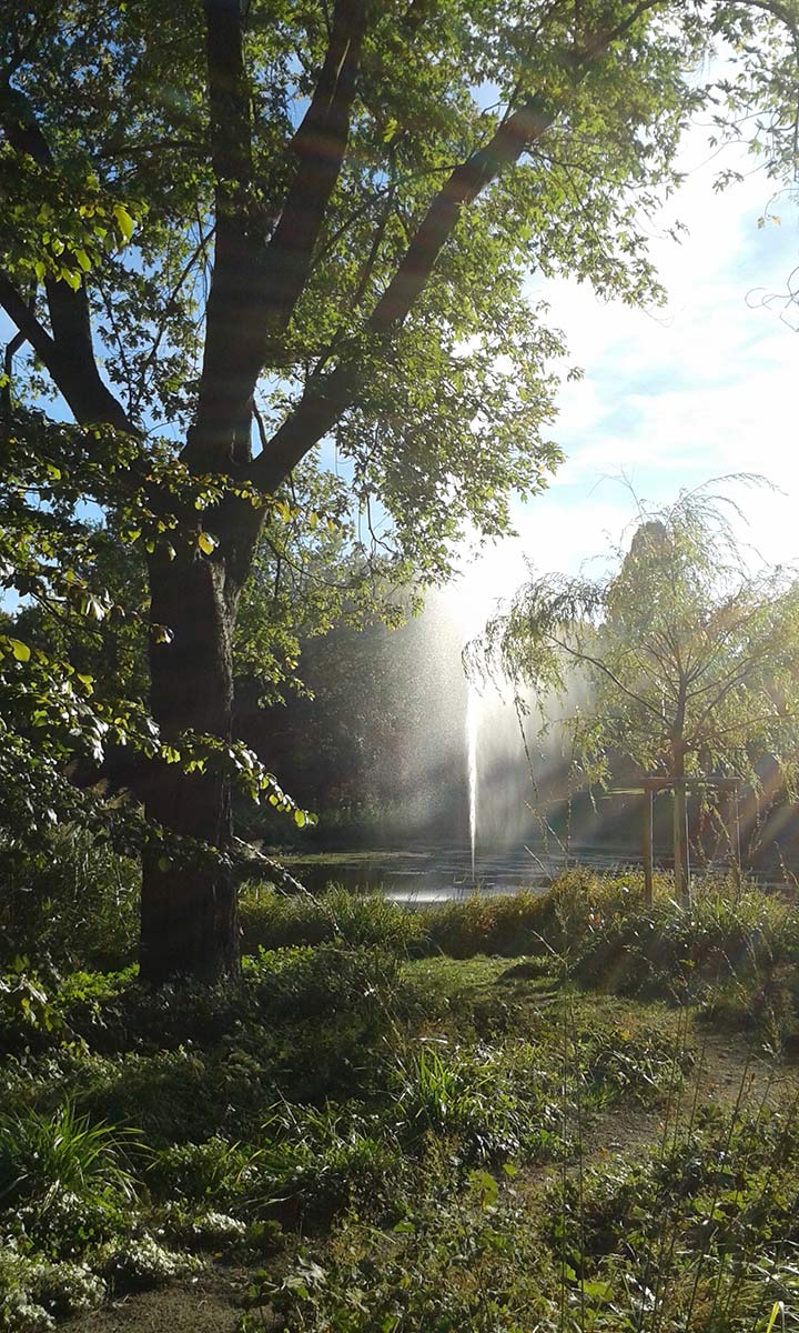 Seminar "Das innere Wesen", Baum und Fontäne